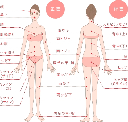 銀座カラー 背中だけの脱毛はできない