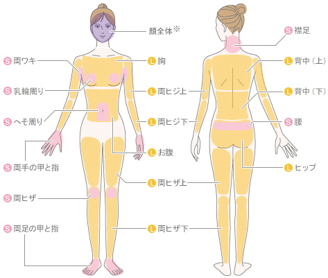 ミュゼの背中脱毛の範囲はどこまで？